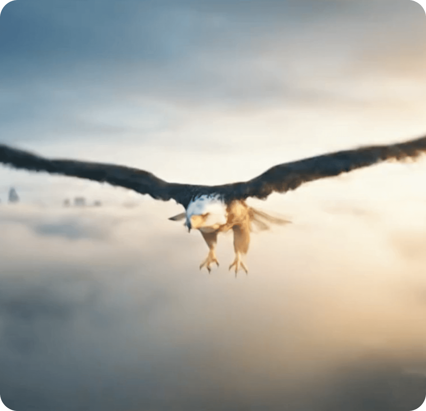 Professional Videos in a Single Click